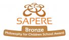 Sapere Bronze Award